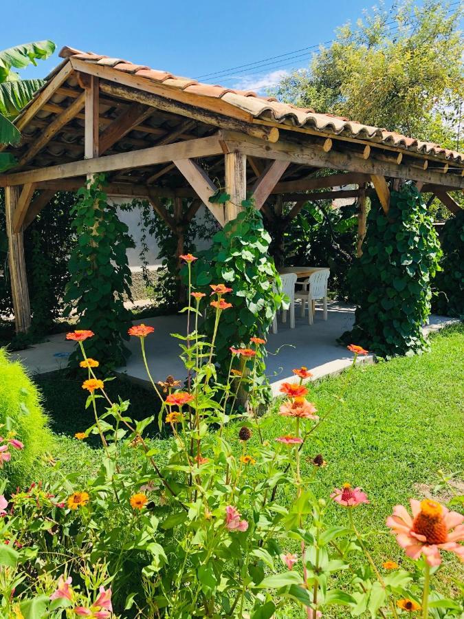 ,,Anna'S" Guesthouse K'vemo Alvani 外观 照片