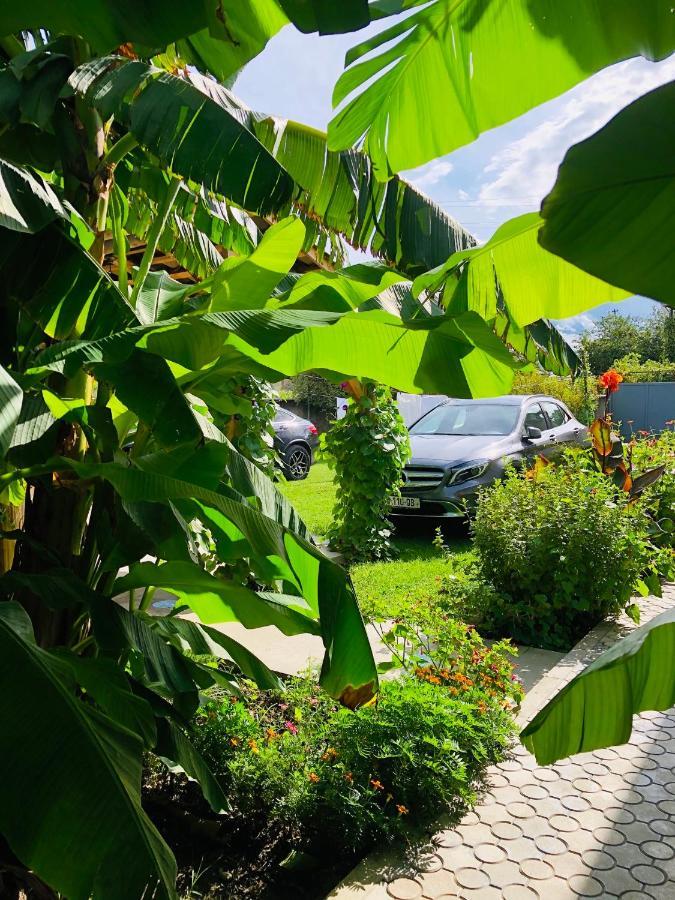,,Anna'S" Guesthouse K'vemo Alvani 外观 照片