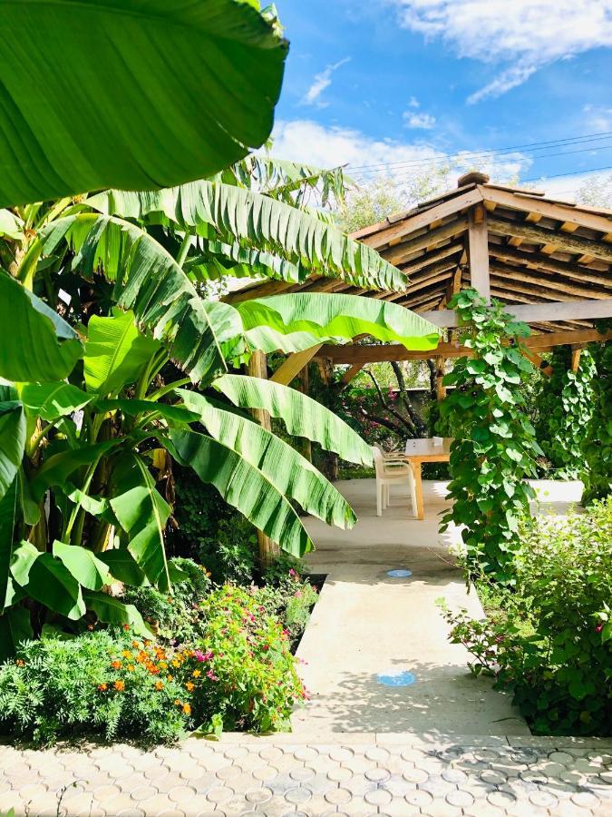 ,,Anna'S" Guesthouse K'vemo Alvani 外观 照片