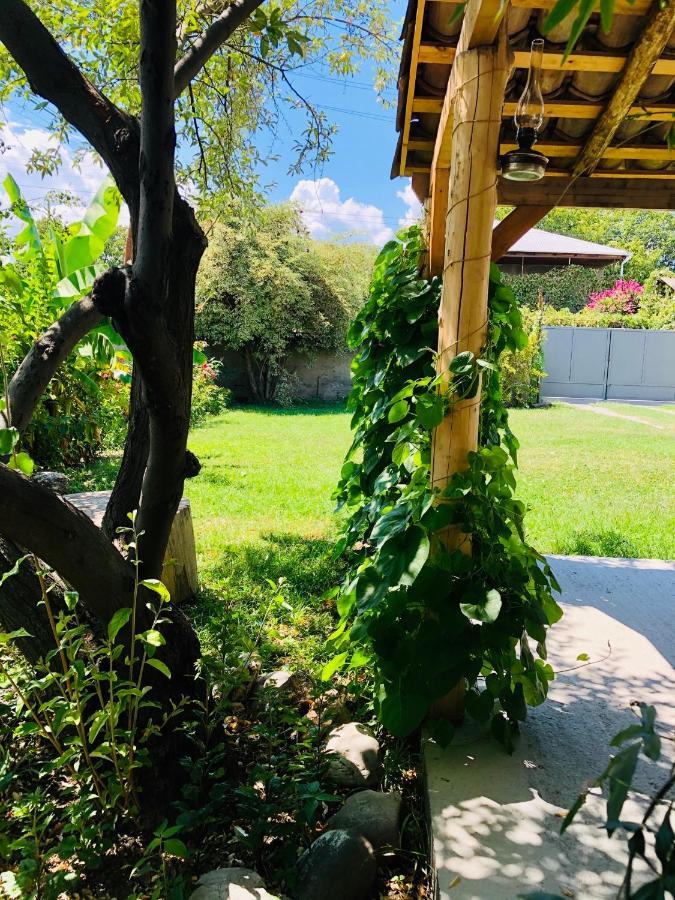 ,,Anna'S" Guesthouse K'vemo Alvani 外观 照片