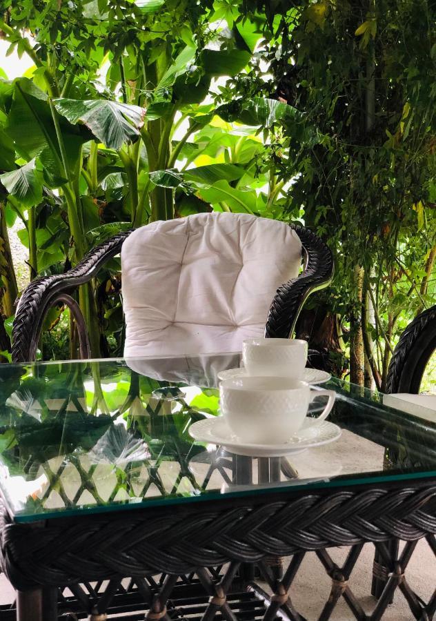 ,,Anna'S" Guesthouse K'vemo Alvani 外观 照片