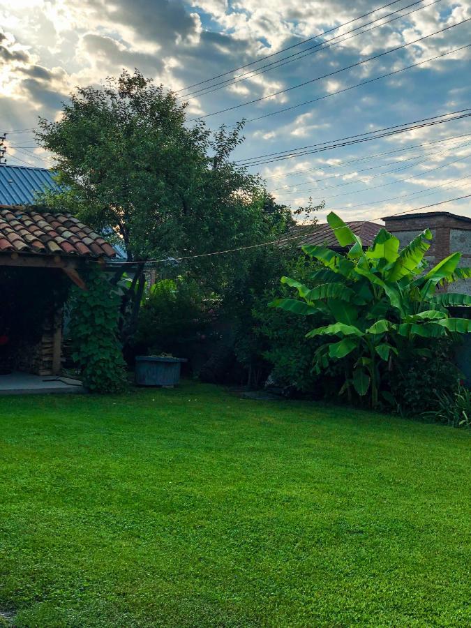 ,,Anna'S" Guesthouse K'vemo Alvani 外观 照片