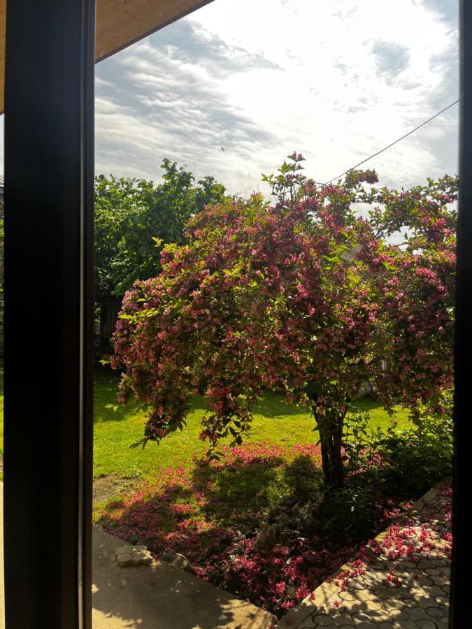 ,,Anna'S" Guesthouse K'vemo Alvani 外观 照片