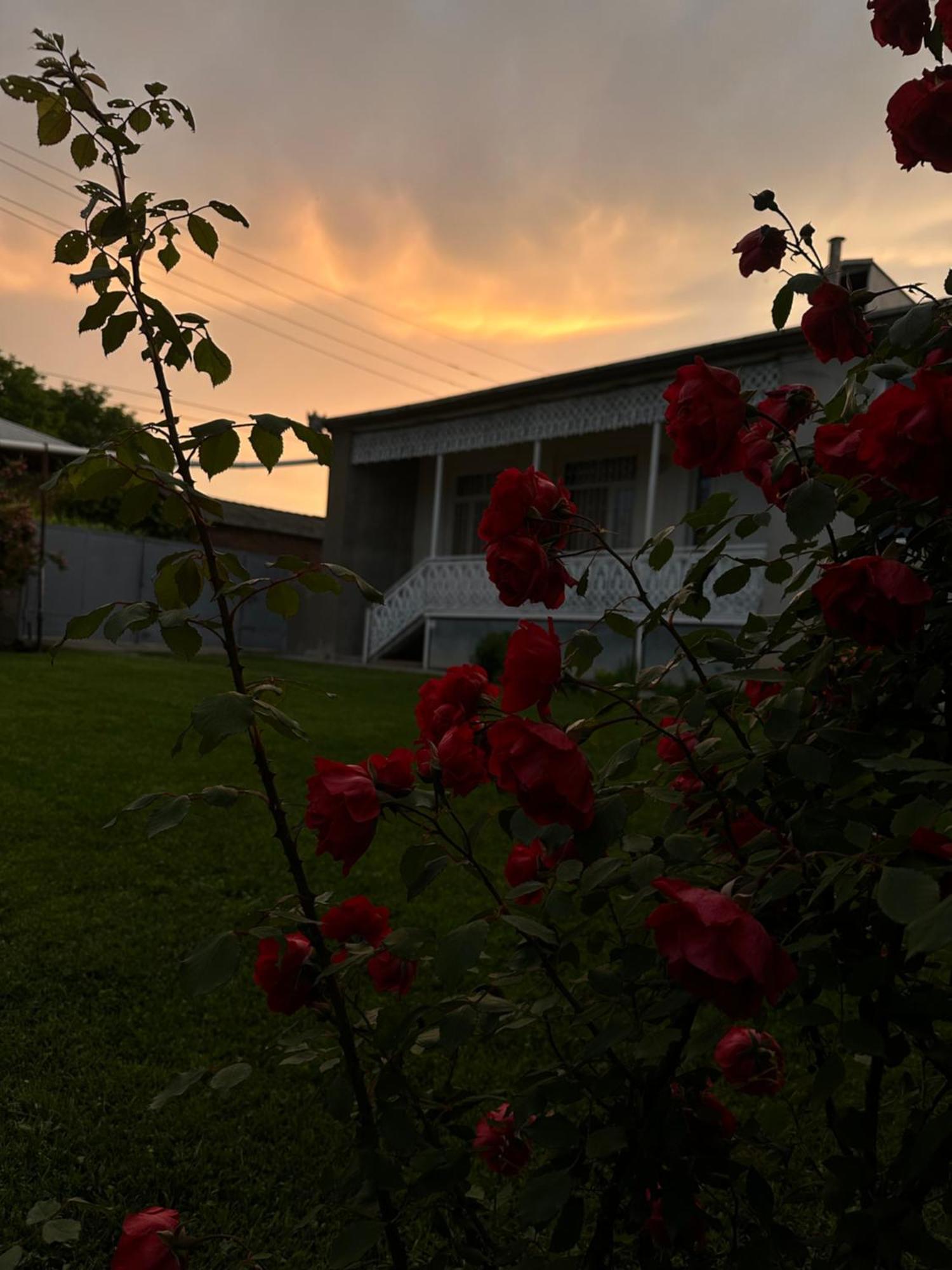 ,,Anna'S" Guesthouse K'vemo Alvani 外观 照片